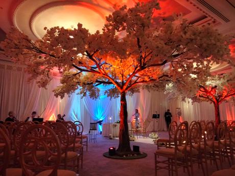 Full Room Draping at Powerscourt Hotel